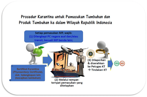 Prosedur Karantina Tanaman Impor
